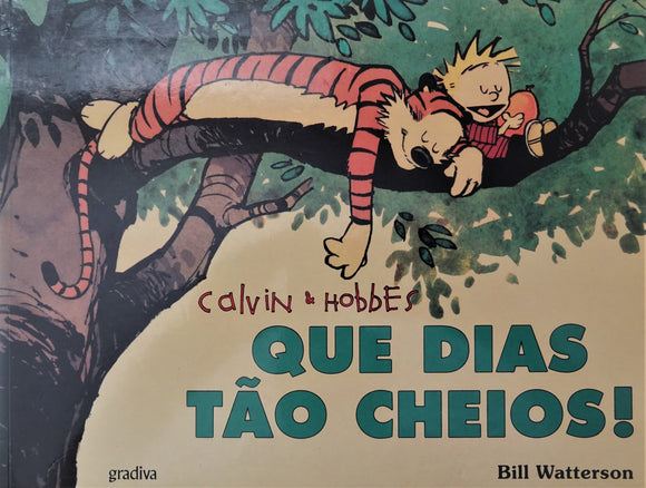 Calvin & Hobbes - Que Dias Tão Cheios!